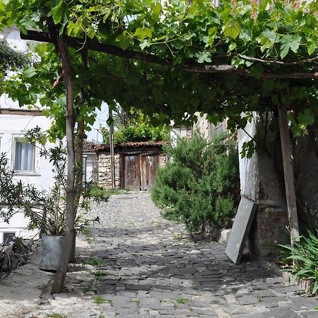 Lakeview Apartments Ohri Dış mekan fotoğraf